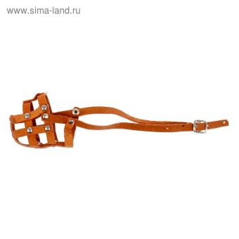 Намордник кожаный сетчатый №0, такса (длина по носу 4,5 см, обхват морды 14 см), микс цветов Намордник кожаный сетчатый №0, такса (длина по носу 4,5 см, обхват морды 14 см), микс цветов