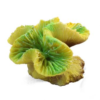 Коралл искусственный 2902LD "Каталофиллия" зеленая, 70*65*40мм