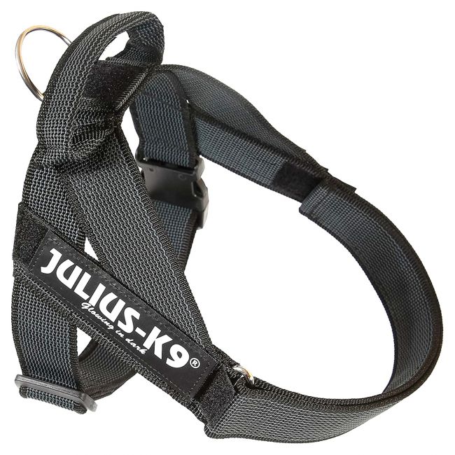 JULIUS-K9 шлейка для собак Ремни Color & Gray IDC® 1 (61-80см / 23-30кг), черный СКИДКА 50%