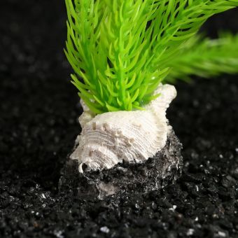 Растение искусственное аквариумное, на платформе, 5 х 5 х 29 см, зелёный Растение искусственное аквариумное, на платформе, 5 х 5 х 29 см, зелёный