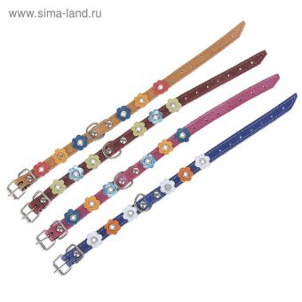 Ошейник кожаный двухслойный с цветком, 30 х 1,2 см, ОШ 20-30 см, микс цветов Ошейник кожаный двухслойный с цветком, 30 х 1,2 см, ОШ 20-30 см, микс цветов