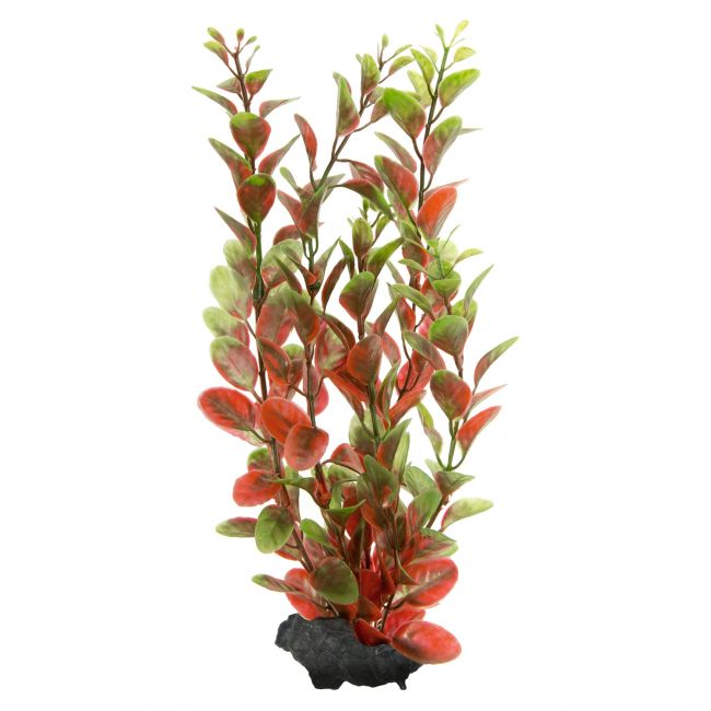 Tetra Deco Art искусственное растение Людвигия M (23 см) СКИДКА 30% Tetra Deco Art искусственное растение Людвигия M (23 см) СКИДКА 30%