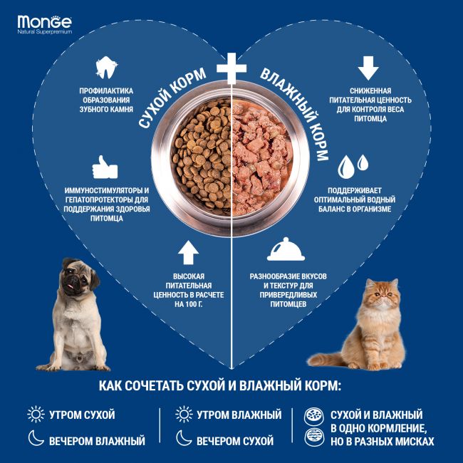 Cухой корм Monge Dog Speciality Line Light корм для взрослых собак всех пород, низкокалорийный, лосось с рисом 12 кг