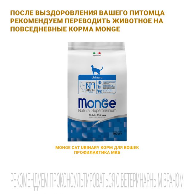 Ветеринарная диета Monge VetSolution Cat Urinary Oxalate Уринари Оксалат для кошек при заболеваниях мочеполовой системы и оксалатном течении МКБ 400 г Ветеринарная диета Monge VetSolution Cat Urinary Oxalate Уринари Оксалат для кошек при заболеваниях мочеполовой системы и оксалатном течении МКБ 400 г