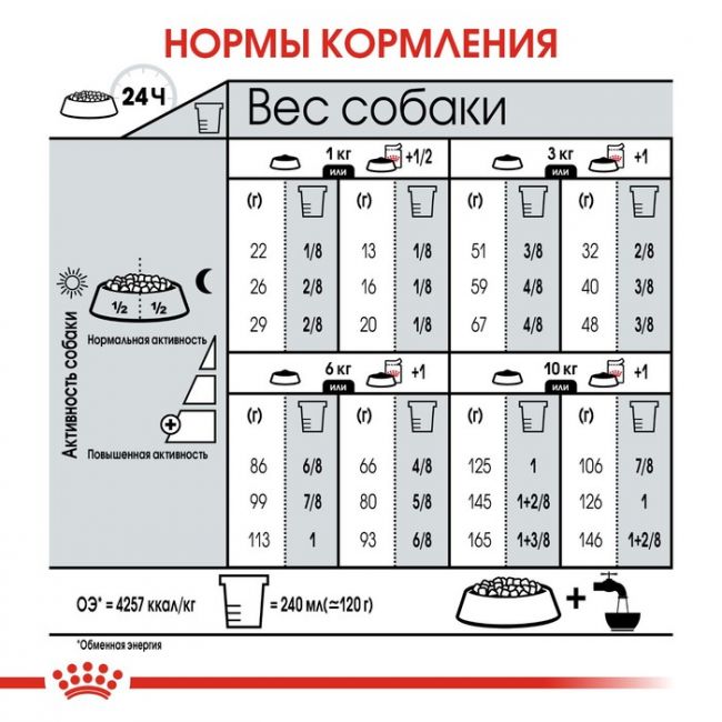 Сухой корм RC Mini Digestive Care для мелких собак с чувствительным ЖКТ, 3 кг Сухой корм RC Mini Digestive Care для мелких собак с чувствительным ЖКТ, 3 кг