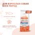 Сухой корм Monge Dog Speciality Line Monoprotein для взрослых собак всех пород, из лосося с рисом 12 кг Сухой корм Monge Dog Speciality Line Monoprotein для взрослых собак всех пород, из лосося с рисом 12 кг