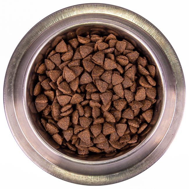 Сухой корм Monge Dog Speciality Line Monoprotein для взрослых собак всех пород, из лосося с рисом 12 кг Сухой корм Monge Dog Speciality Line Monoprotein для взрослых собак всех пород, из лосося с рисом 12 кг