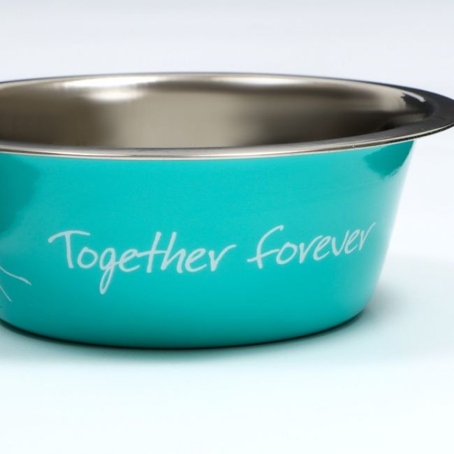 Миска стандартная "Together forever", 350 мл, мятная Миска стандартная "Together forever", 350 мл, мятная