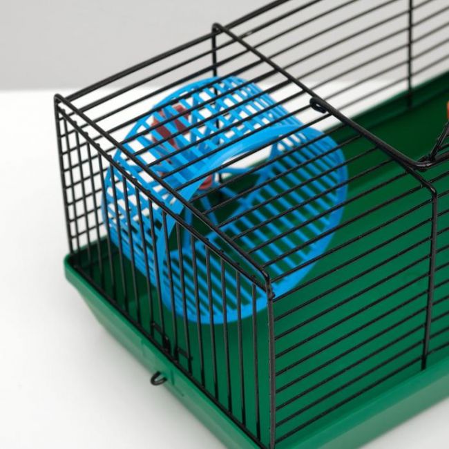 Клетка-мини для грызунов "Пижон" №1, укомплектованная, 27 х 15 х 13 см, зеленый микс
