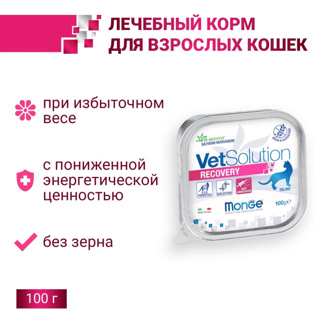 Ветеринарная диета Monge VetSolution Cat Recovery Рекавери для кошек при восстановлении питания в период выздоровления 100 г