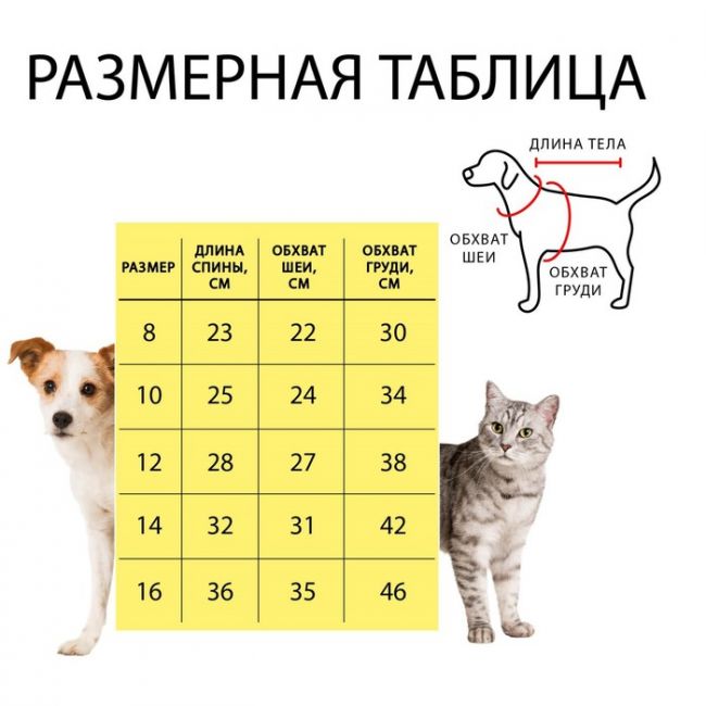 Комбинезон с замком на спине, размер 12 (ДС 28 см,ОГ 38 см,ОШ 27 см), розовый