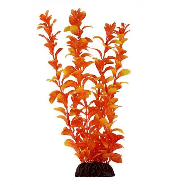 Растение "Людвигия" оранжевая, 200мм