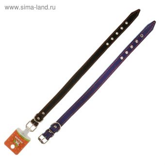 Ошейник кожаный на синтепоне, 46 х 2 см, ОШ 25-35 см, синий Ошейник кожаный на синтепоне, 46 х 2 см, ОШ 25-35 см, синий