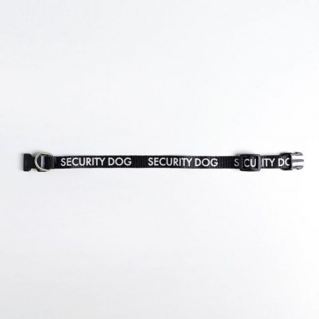 Ошейник для собак с фастексом Security dog, 30 х 1 см