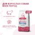 Сухой корм Monge Dog Speciality Line Monoprotein All Breeds Beef and Rice для взрослых собак всех пород, из говядины с рисом 2,5 кг