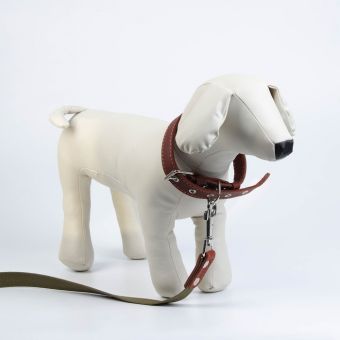 Комплект : ошейник (45-60х2.5 см) кожаный и поводок (150х2.5 см) брезентовый, цвет коньячный Комплект : ошейник (45-60х2.5 см) кожаный и поводок (150х2.5 см) брезентовый, цвет коньячный