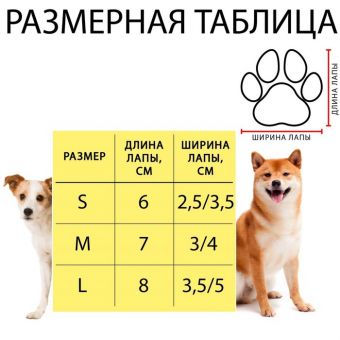 Носки нескользящие, размер S (2,5/3,5 * 6 см), набор 4 шт , цыпленок Носки нескользящие, размер S (2,5/3,5 * 6 см), набор 4 шт , цыпленок