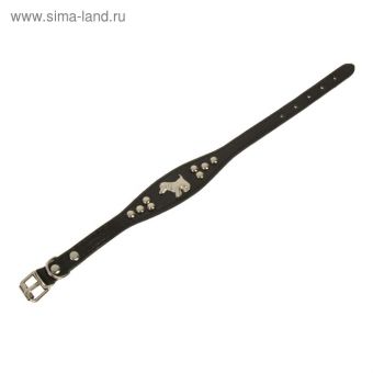 Ошейник-селедка со щенком, 29-32 х2,5 см, искусственная кожа, черный Ошейник-селедка со щенком, 29-32 х2,5 см, искусственная кожа, черный