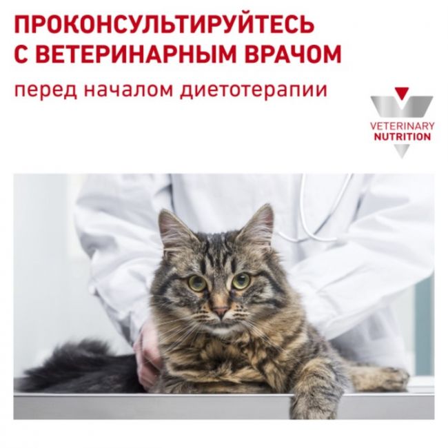 Сухой корм RC Gastro Intestinal 32 Feline для кошек с нарушеннием ЖКТ, 400 г
