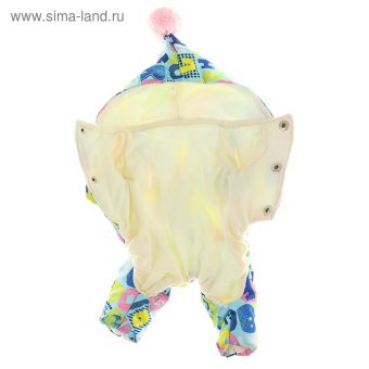 Комбинезон для животных "Принт", флис, M (ДС 24-26, ОШ 28, ОГ 34-36 см), микс Комбинезон для животных "Принт", флис, M (ДС 24-26, ОШ 28, ОГ 34-36 см), микс