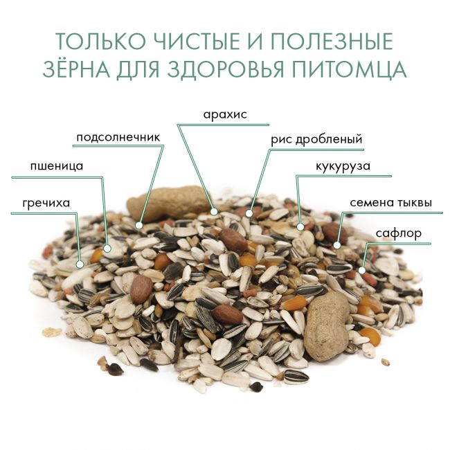 FIORY корм для крупных попугаев Pappagalli 2,8 кг FIORY корм для крупных попугаев Pappagalli 2,8 кг
