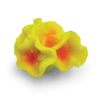 Коралл искусственный 2911LD "Дискозома мини", 58*49*35мм Коралл искусственный 2911LD "Дискозома мини", 58*49*35мм