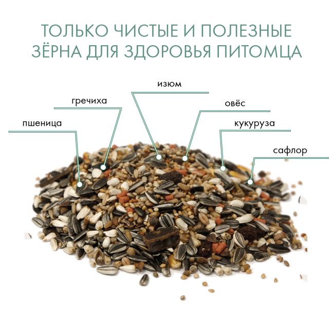 FIORY корм для средних попугаев Parrocchetti African 3,2 кг FIORY корм для средних попугаев Parrocchetti African 3,2 кг