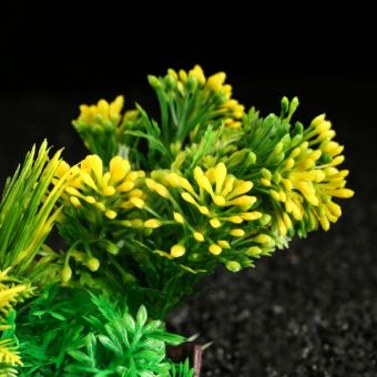 Растение искусственное аквариумное, 18 х 15 см Растение искусственное аквариумное, 18 х 15 см