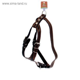 Шлейка кожаная "Караульная", 2,5 см, ОШ40-66 см, ОГ 81-100 см, микс цветов