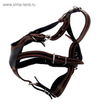 Шлейка кожаная "Универсальная", 2,5 см, ОШ 42-62 см, ОГ 86-100 см, микс цветов Шлейка кожаная "Универсальная", 2,5 см, ОШ 42-62 см, ОГ 86-100 см, микс цветов