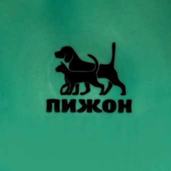 Миска керамическая "Важный пес" 250мл, 11,5 х 5 см, мятная Миска керамическая "Важный пес" 250мл, 11,5 х 5 см, мятная