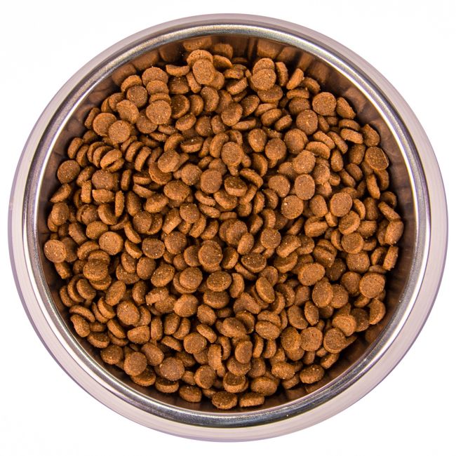 Сухой корм Monge Cat Speciality Line Monoprotein для котят и беременных кошек, из форели 1,5 кг Сухой корм Monge Cat Speciality Line Monoprotein для котят и беременных кошек, из форели 1,5 кг