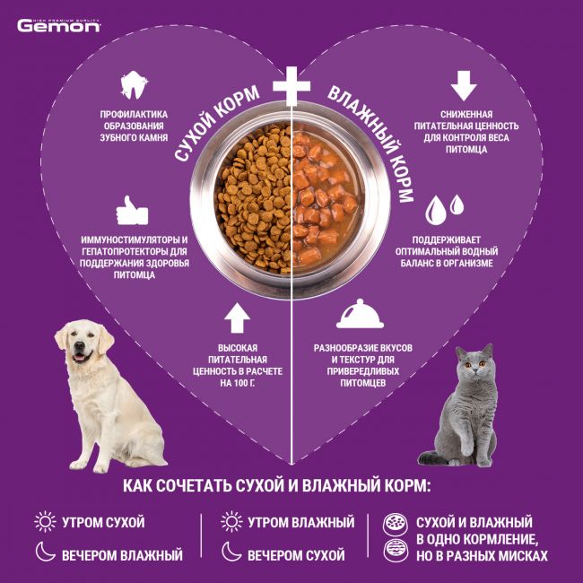 Сухой корм Gemon Dog Medium для взрослых собак средних пород, с тунцом и рисом 3 кг Сухой корм Gemon Dog Medium для взрослых собак средних пород, с тунцом и рисом 3 кг