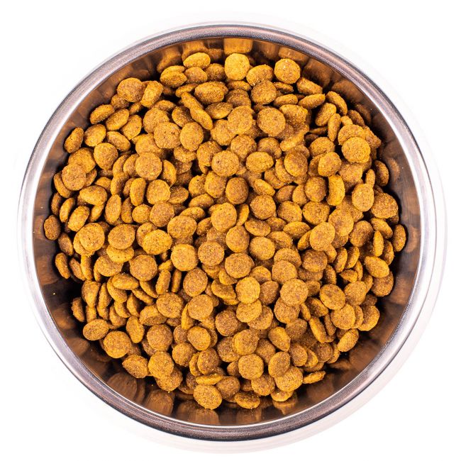Сухой корм Monge Cat Speciality Line Monoprotein Sterilised для стерилизованных кошек, из форели 1,5 кг Сухой корм Monge Cat Speciality Line Monoprotein Sterilised для стерилизованных кошек, из форели 1,5 кг