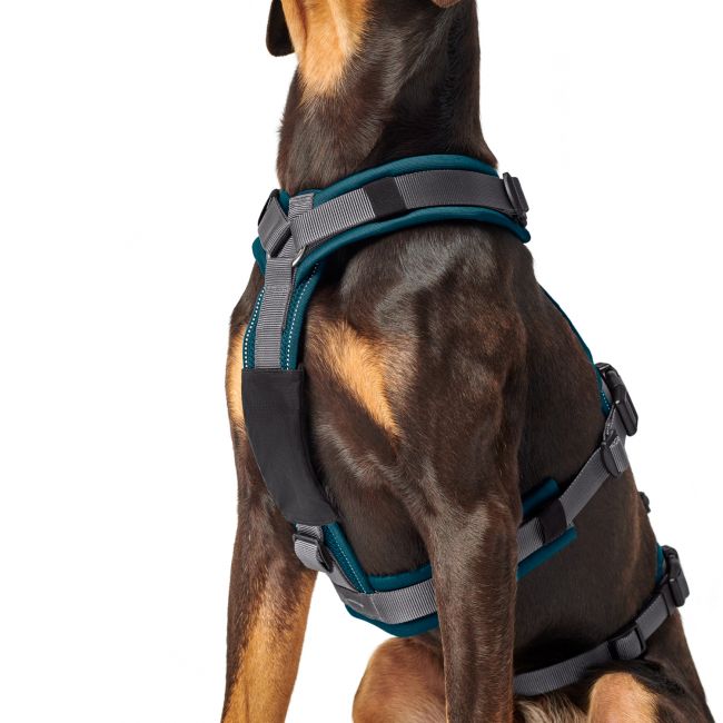 Hunter шлейка для собак Safety Maldon L (66-118 / 69-105 / 2,5 см) с ручкой, нейлон, сине-зеленый/серый Hunter шлейка для собак Safety Maldon L (66-118 / 69-105 / 2,5 см) с ручкой, нейлон, сине-зеленый/серый