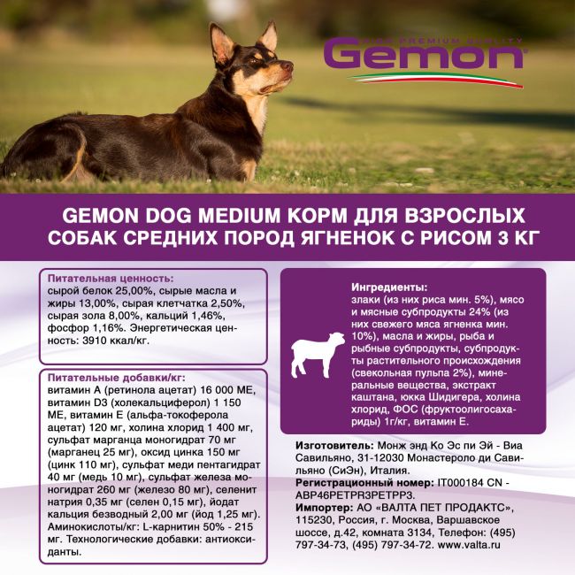 Сухой корм Gemon Dog Medium для взрослых собак средних пород, с ягненком и рисом 3 кг Сухой корм Gemon Dog Medium для взрослых собак средних пород, с ягненком и рисом 3 кг