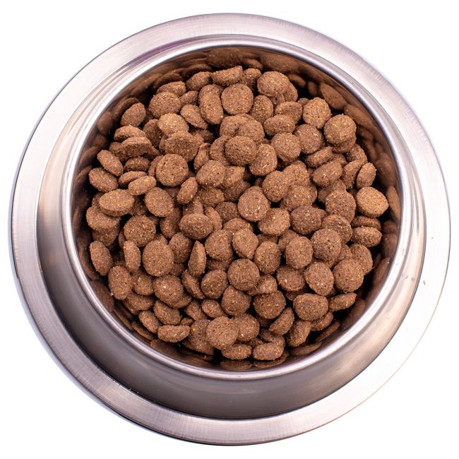 Сухой корм Gemon Dog Medium для взрослых собак средних пород, с ягненком и рисом 3 кг Сухой корм Gemon Dog Medium для взрослых собак средних пород, с ягненком и рисом 3 кг