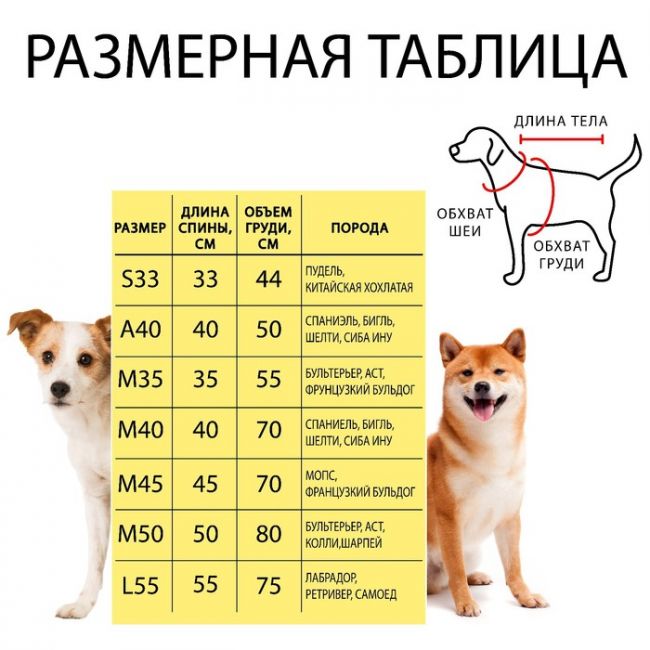 Комбинезон-дождевик (M50) для бультерьера, АСТа, колли, шарпея (мальчик), красный