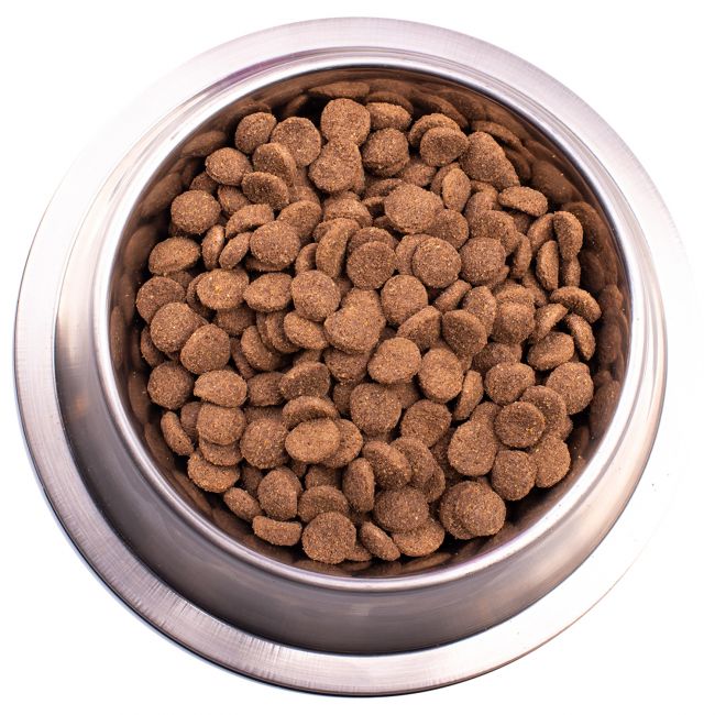 Сухой корм Gemon Dog Medium для взрослых собак средних пород, с курицей 3 кг Сухой корм Gemon Dog Medium для взрослых собак средних пород, с курицей 3 кг