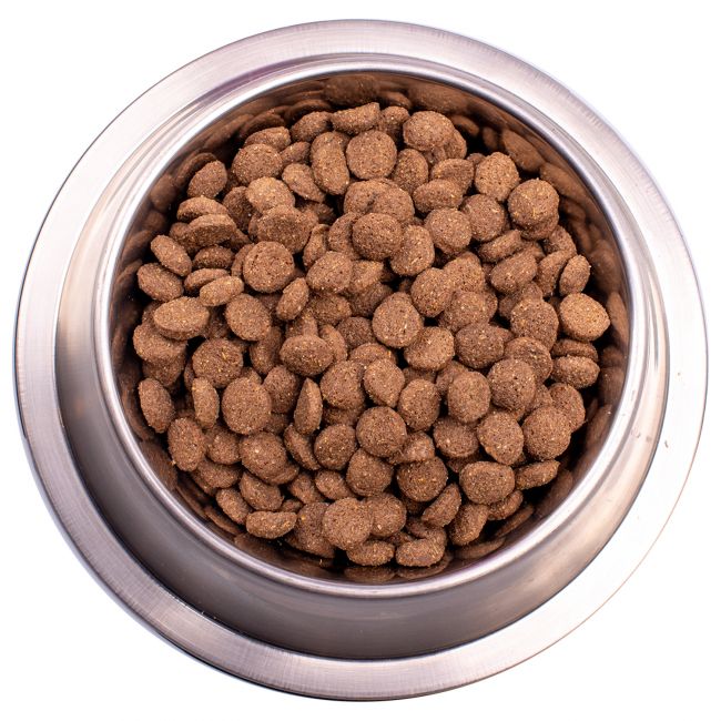 Сухой корм Gemon Dog Medium для взрослых собак средних пород, с ягненком и рисом 15 кг Сухой корм Gemon Dog Medium для взрослых собак средних пород, с ягненком и рисом 15 кг