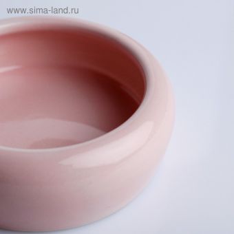 Миска керамическая, 10 х 3,2 см, 150 мл, нежно-розовая Миска керамическая, 10 х 3,2 см, 150 мл, нежно-розовая