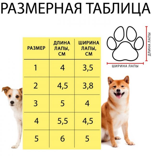 Ботинки "Кристмес", набор 4 шт, размер 4 (подошва 5,5 х 4,5 см), красные