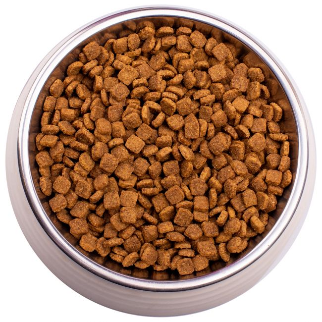 Сухой корм Gemon Cat Indoor для домашних кошек, с курицей и рисом 400 г Сухой корм Gemon Cat Indoor для домашних кошек, с курицей и рисом 400 г