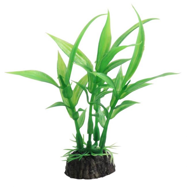 Растение "Гигрофила" зеленая, 100мм