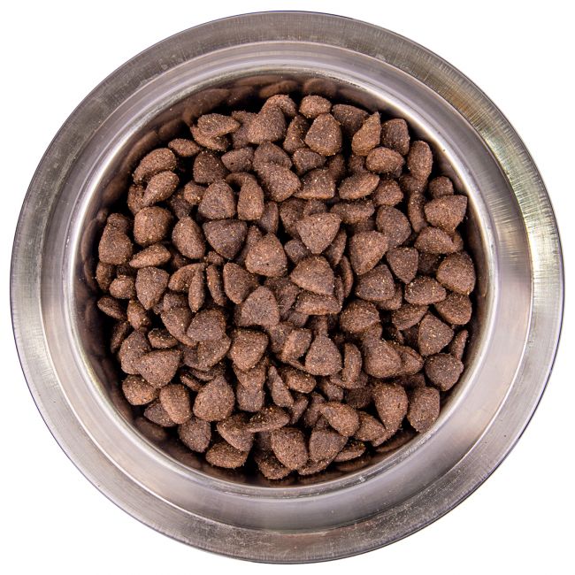 Сухой корм Monge Dog BWild LOW GRAIN для взрослых собак, низкозерновой, из мяса оленя 2,5 кг Сухой корм Monge Dog BWild LOW GRAIN для взрослых собак, низкозерновой, из мяса оленя 2,5 кг