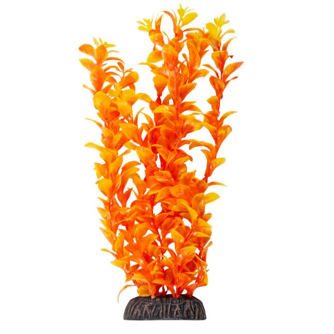 Растение "Людвигия" ярко-оранжевая, 300мм