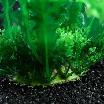 Растение искусственное аквариумное, 22 см, зелёное Растение искусственное аквариумное, 22 см, зелёное