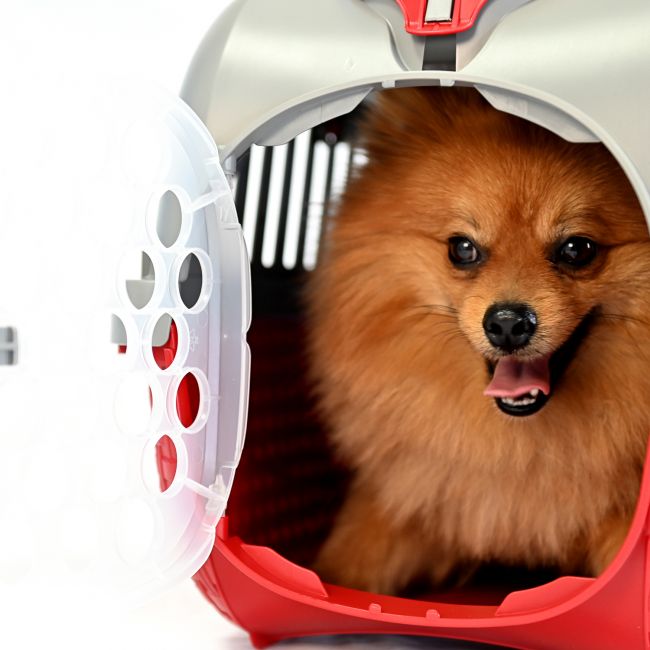 BAMA PET переноска KENNEL TOUR 52х33х34h см до 7 кг, красная BAMA PET переноска KENNEL TOUR 52х33х34h см до 7 кг, красная