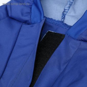 Комбинезон дляживотных, без подклада, XL (ДС 32-34, ОШ 32, ОГ 46-48 см), синий Комбинезон дляживотных, без подклада, XL (ДС 32-34, ОШ 32, ОГ 46-48 см), синий