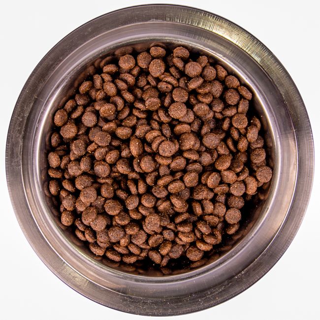Сухой корм Monge Dog BWild LOW GRAIN Puppy & junior для щенков, низкозерновой, из мяса оленя 2,5 кг Сухой корм Monge Dog BWild LOW GRAIN Puppy & junior для щенков, низкозерновой, из мяса оленя 2,5 кг